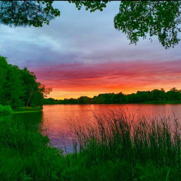 Meet your Posher, Debra - Picture 1 of 1